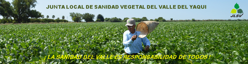 JUNTA LOCAL DE SANIDAD VEGETAL DEL VALLE DEL YAQUI